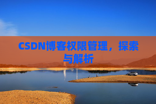 CSDN博客权限管理，探索与解析