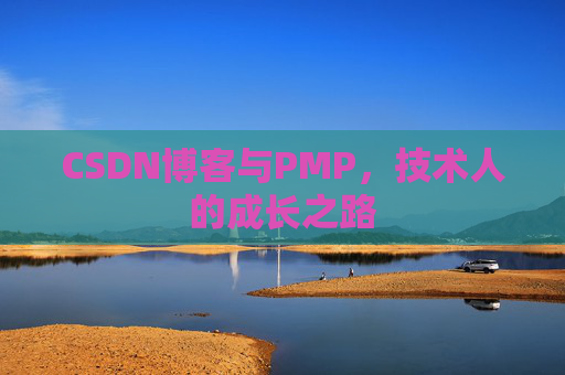 CSDN博客与PMP，技术人的成长之路