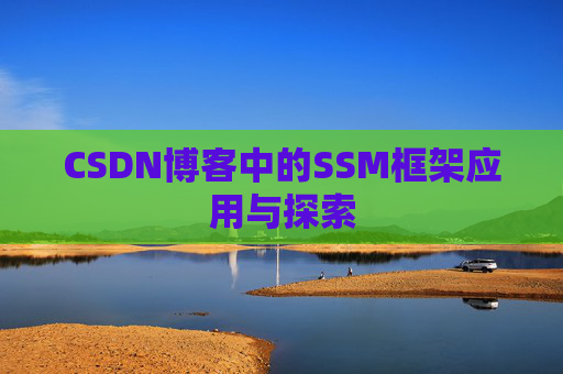 CSDN博客中的SSM框架应用与探索