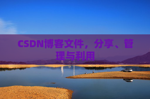 CSDN博客文件，分享、管理与利用